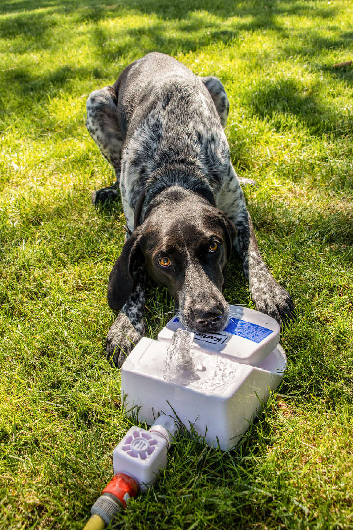 KARLIE Wasserfontaine "Splashy"